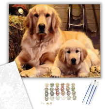 Számfestő.hu Közös pihenés - számfestő készlet – 40×50 cm (Keretre feszítve) kreatív és készségfejlesztő