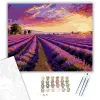Számfestő.hu Levendulamező Alkonyatban - számfestő készlet – 50×60 cm (Keretre feszítve)