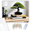 Számfestő.hu Modern Bonsai a Fa Asztalon - számfestő készlet – 40×50 cm (Keretre feszítve)