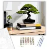 Számfestő.hu Modern Bonsai a Fa Asztalon - számfestő készlet – 80×100 cm (Keret nélkül)