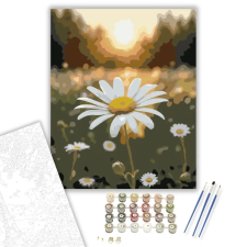 Számfestő.hu Napfényben Ringatózó Fehér Margaréta - számfestő készlet – 50×60 cm (Keret nélkül) kreatív és készségfejlesztő