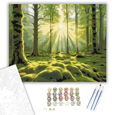 Számfestő.hu Napkelte az Erdő Mélyén - számfestő készlet – 60×70 cm (Keret nélkül) kreatív és készségfejlesztő