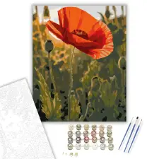 Számfestő.hu Naplementében Ragyogó Pipacs - számfestő készlet – 50×60 cm (Keretre feszítve) kreatív és készségfejlesztő