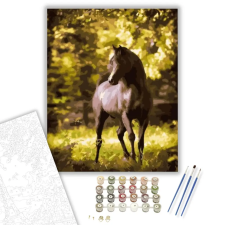 Számfestő.hu Paripa - számfestő készlet – 50×60 cm (Keret nélkül) kreatív és készségfejlesztő