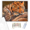 Számfestő.hu Pihenő leopárd - számfestő készlet – 40×50 cm (Keretre feszítve)