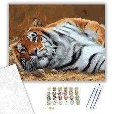 Számfestő.hu Pihenő tigris - számfestő készlet – 40×50 cm (Keretre feszítve) kreatív és készségfejlesztő