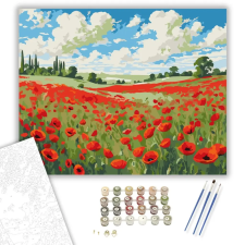 Számfestő.hu Pipacsmező Felhős Égbolt Alatt - számfestő készlet – 60×70 cm (Keretre feszítve) kreatív és készségfejlesztő