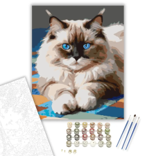 Számfestő.hu Ragdoll Macska Kék Szemekkel - számfestő készlet – 80×100 cm (Keretre feszítve) kreatív és készségfejlesztő