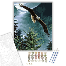Számfestő.hu Sas az erdő felett - számfestő készlet – 40×50 cm (Keretre feszítve) kreatív és készségfejlesztő