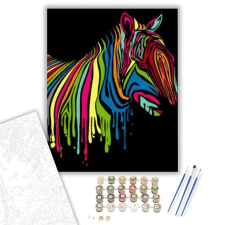 Számfestő.hu Színes zebra - számfestő készlet – 40×50 cm (Keretre feszítve) kreatív és készségfejlesztő