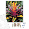 Számfestő.hu Színpompás Bromélia - számfestő készlet – 50×60 cm (Keretre feszítve)