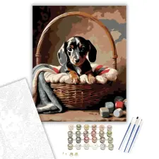 Számfestő.hu Tacskó Kiskutya a Kosárban - számfestő készlet – 50×60 cm (Keretre feszítve) kreatív és készségfejlesztő