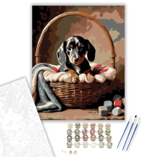 Számfestő.hu Tacskó Kiskutya a Kosárban - számfestő készlet – 60×70 cm (Keretre feszítve) kreatív és készségfejlesztő