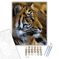 Számfestő.hu Tigris - számfestő készlet – 50×60 cm (Keret nélkül) kreatív és készségfejlesztő