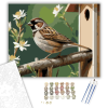 Számfestő.hu Veréb a Madárodúnál - számfestő készlet – 40×50 cm (Keretre feszítve)