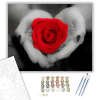 Számfestő.hu Vörös rózsa - számfestő készlet – 40×50 cm (Keretre feszítve)