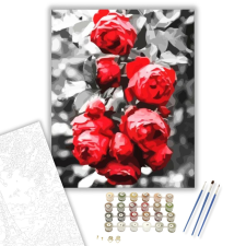 Számfestő.hu Vörös rózsabokor - számfestő készlet – 40×50 cm (Keretre feszítve) kreatív és készségfejlesztő