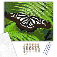 Számfestő.hu Zebra Csíkos Pillangó Páfrányon - számfestő készlet – 50×60 cm (Keret nélkül) kreatív és készségfejlesztő