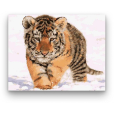 Számfestő Kis tigris - számfestő készlet kreatív és készségfejlesztő