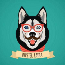 Számfestő Laika - gyémántszemes kirakó kreatív és készségfejlesztő