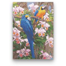Számfestő Papagájok - számfestő készlet kreatív és készségfejlesztő