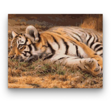 Számfestő Pihenő tigris - számfestő készlet kreatív és készségfejlesztő