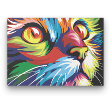 Számfestő Színes Macska - számfestő készlet kreatív és készségfejlesztő