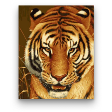Számfestő Tigris tekintet - számfestő készlet kreatív és készségfejlesztő