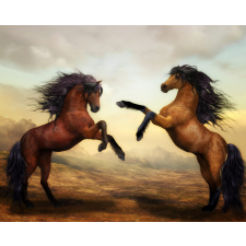 Számfestő Vad lovak - vászonkép grafika, keretezett kép