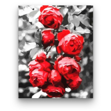 Számfestő Vörös rózsabokor - számfestő készlet kreatív és készségfejlesztő