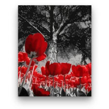 Számfestő Vörös tulipánok - számfestő készlet kreatív és készségfejlesztő