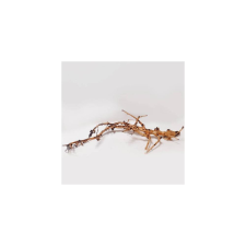  SZB Akvárium dísz - (Japán fagyökér) akváriumba és terráriumba  (Nano) hüllőfelszerelés