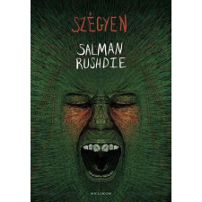 Szégyen regény