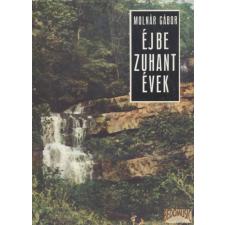 Szépirodalmi Éjbe zuhant évek (1973) antikvárium - használt könyv