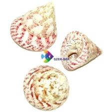 Szer-Ber Csigaház akvárium dekoráció