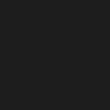 SZÍNES Fekete Maki szalvéta 20 db-os 25x25 cm party kellék