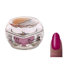 Színes zselé 5ml #003 Bordó műköröm zselé