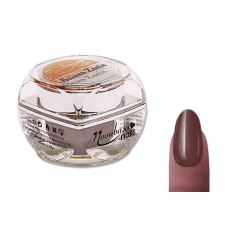 Színes zselé 5ml #038 Barnás bordó műköröm zselé