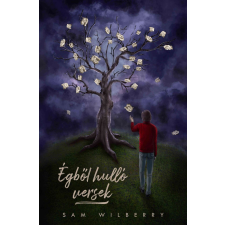 Szivárványálom Kiadó Égből hulló versek gyermek- és ifjúsági könyv