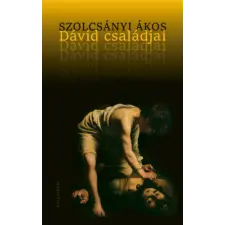 Szolcsányi Ákos - Dávid családjai regény