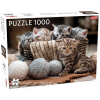 Tactic Cute Kittens 1000 pcs Kirakós játék 1000 db Állatok (404423)