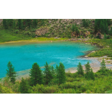  Tapéta Natura113, 300 x 250 cm tapéta, díszléc és más dekoráció