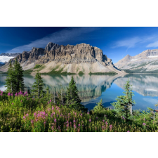  Tapéta Natura43, 300 x 250 cm tapéta, díszléc és más dekoráció