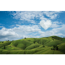  Tapéta Natura67, 350 x 200 cm tapéta, díszléc és más dekoráció
