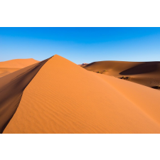  Tapéta Natura73, 400 x 250 cm tapéta, díszléc és más dekoráció