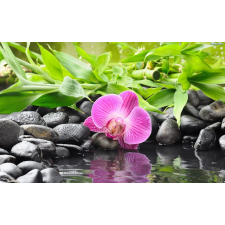  Tapéta Orchideák bambusszal, 350 x 250 cm tapéta, díszléc és más dekoráció