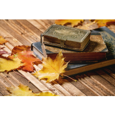  Tapéta Összetétel 45, 350 x 200 cm tapéta, díszléc és más dekoráció