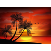  Tapéta Pálmafák15, 350 x 250 cm