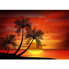  Tapéta Pálmafák15, 350 x 250 cm tapéta, díszléc és más dekoráció