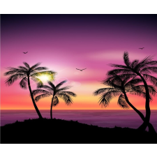  Tapéta Pálmafák4, 300 x 250 cm tapéta, díszléc és más dekoráció